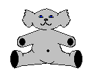grey teddy